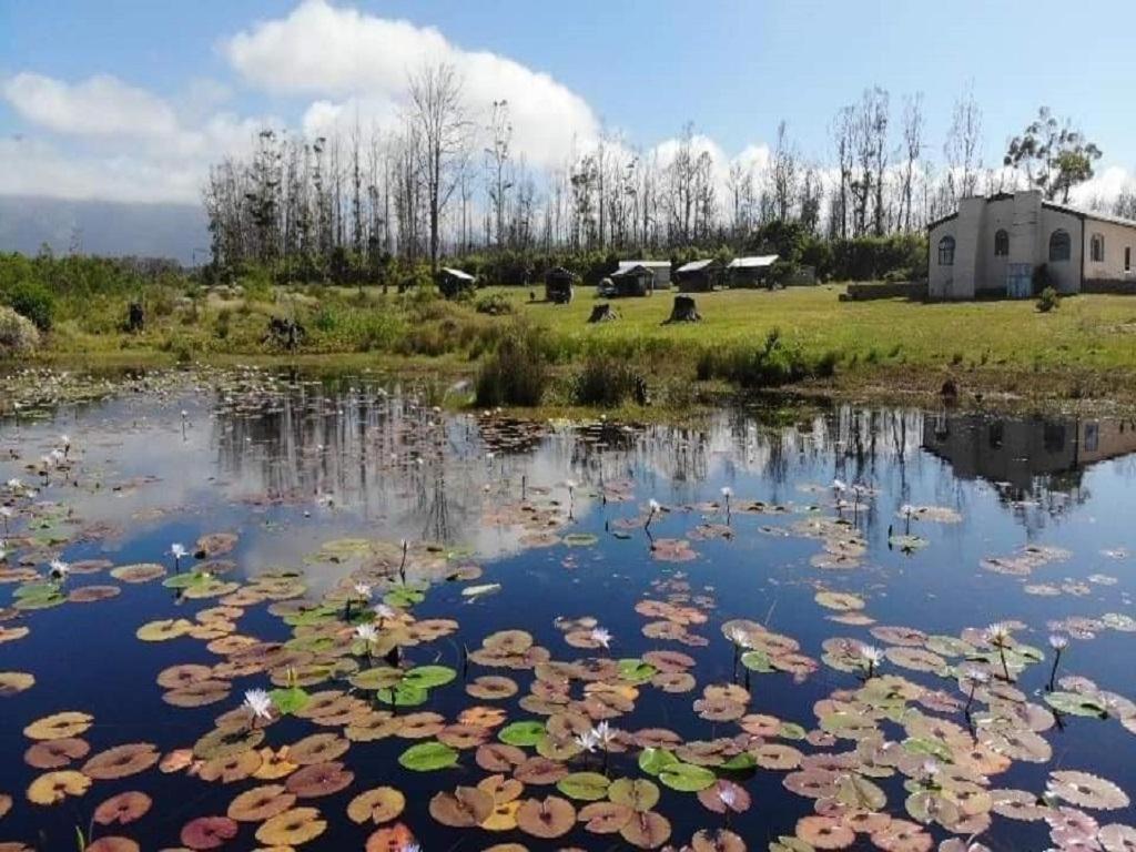 Cadeau Hiking And Accommodation Witelsbos Екстер'єр фото